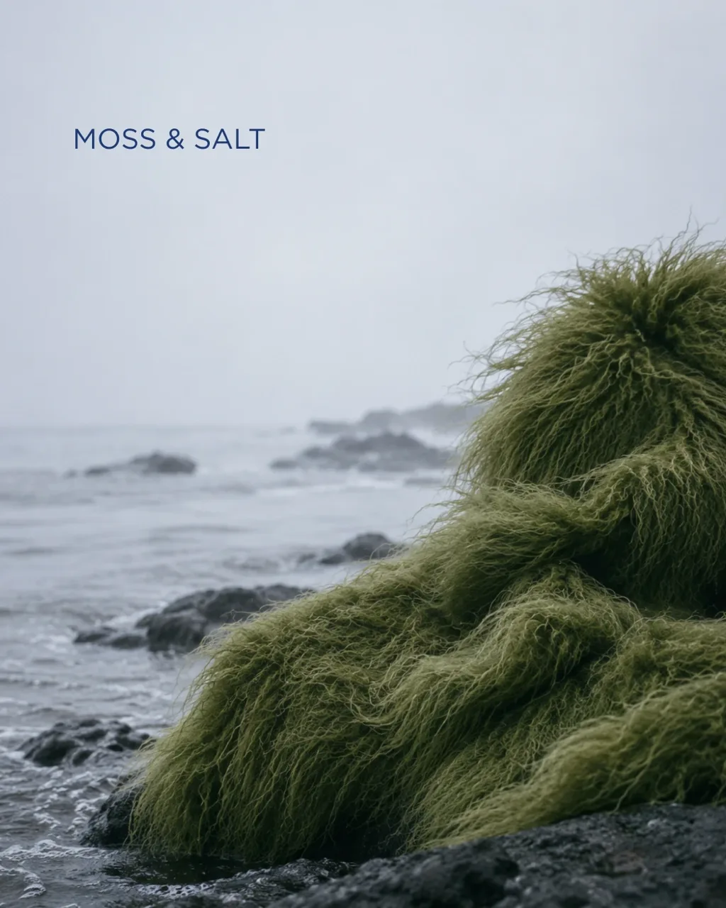 Moss and Salt key visual: the moss-green garment draped over coastal rocks in sea mist, with the MOSS & SALT lettering. Own concept editorial by Bilder Studio.